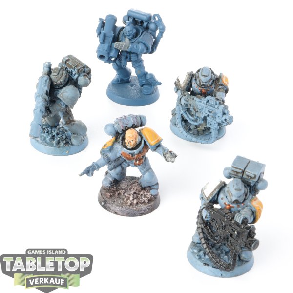 Space Wolves - 5 x Devastator Squad - teilweise bemalt