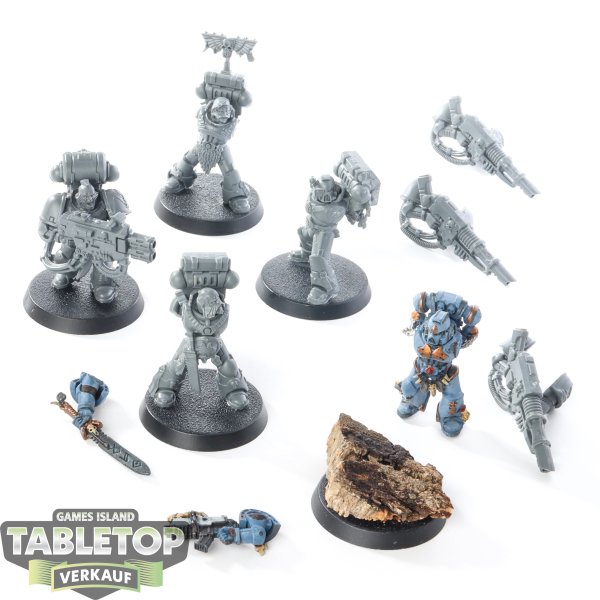 Space Wolves - 5 x Devastator Squad - teilweise bemalt