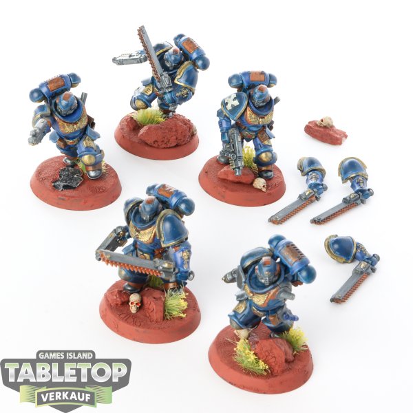 Space Marines - Assault Intercessor - bemalt