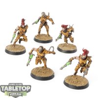 Drukhari - 5x Wyches - bemalt