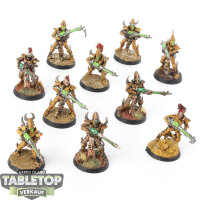 Drukhari - 10x Kabalite Warriors - bemalt