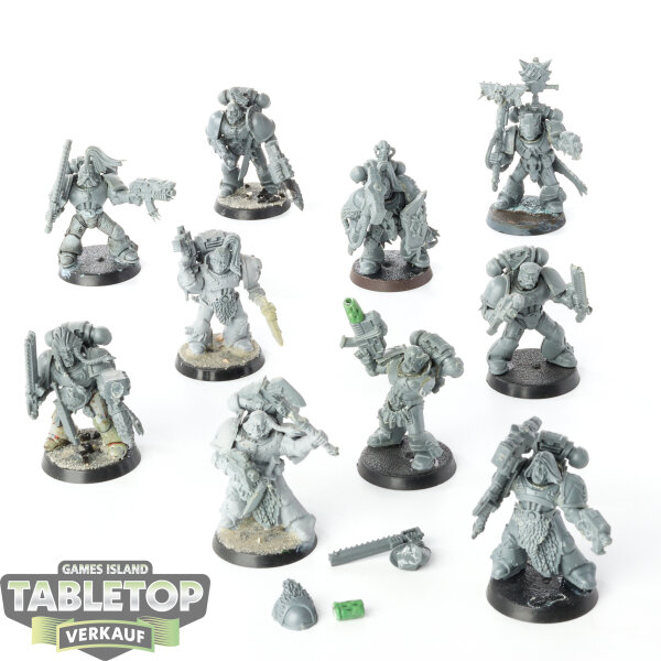 Space Wolves - 10 x Grey Hunters - teilweise bemalt