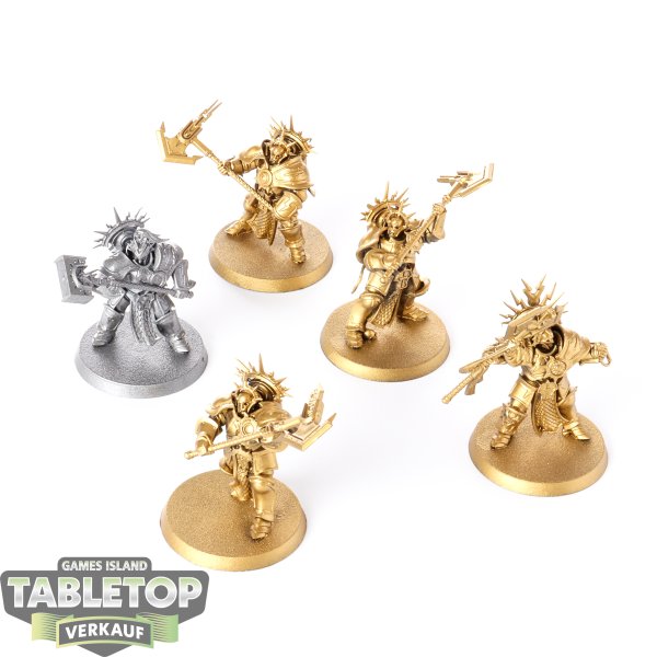 Stormcast Eternals - 5 xDrcimators - grundiert