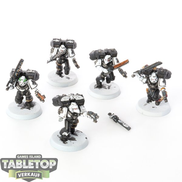 Raven Guard - 5 x Assault Squad - bemalt