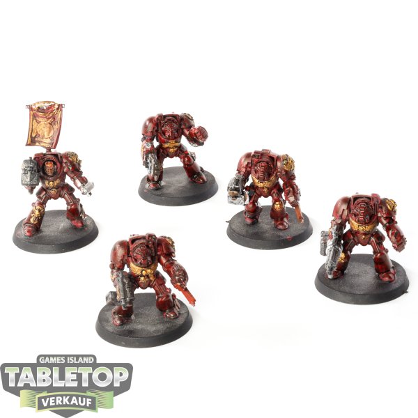 Space Marines - 5 x Terminator Squad klassisch - bemalt