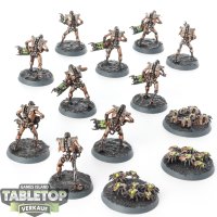 Necrons - 10x Necron Warriors & 3x Scarab Swarm - bemalt