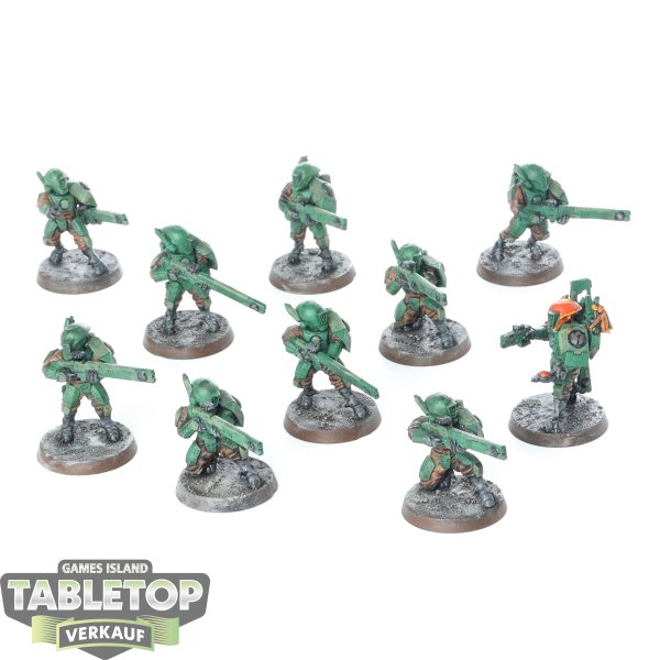 Tau Empire - 10x Fire Warriors - bemalt