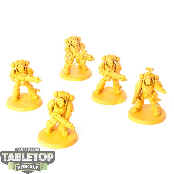 Imperial Fists - 5 x Heavy Intercessors - teilweise bemalt