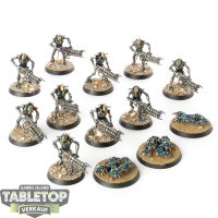 Necrons - 10 x Necron Warriors - bemalt