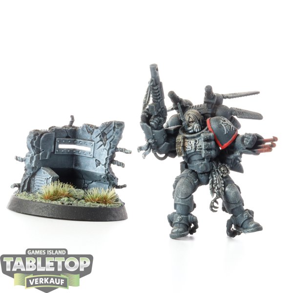 Raven Guard - Kayvaan Shrike - teilweise bemalt