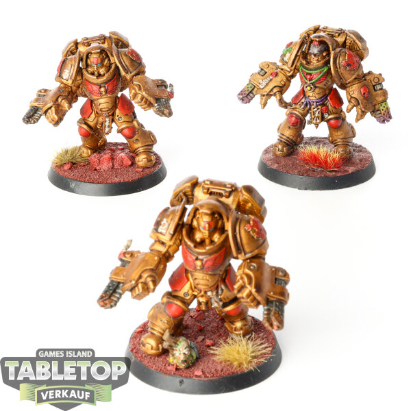 Space Marines - 3x Primaris Aggressors - bemalt