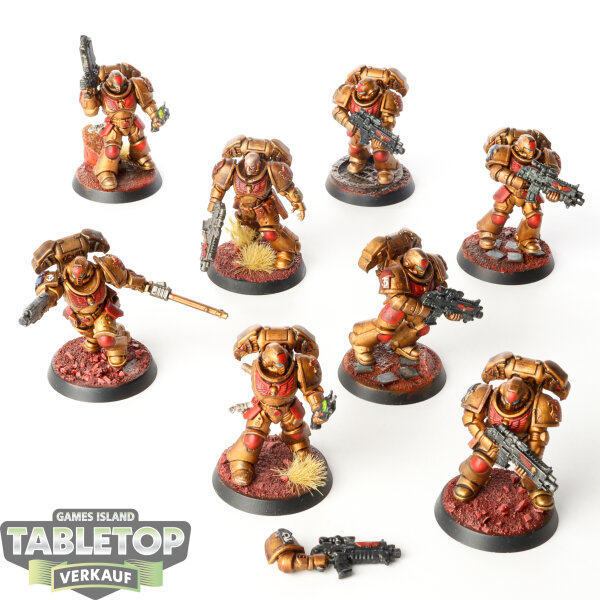Space Marines - 8x Primaris Intersessors - bemalt