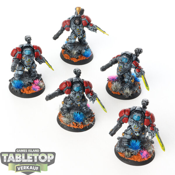 Leagues of Votann - 5x Einhyr Hearthguard - bemalt