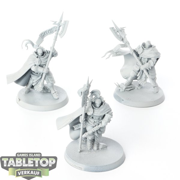 Stormcast Eternals - 3 x Praetors - grundiert