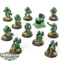 Tau Empire - 10 x Fire Warriors Strike Team - bemalt