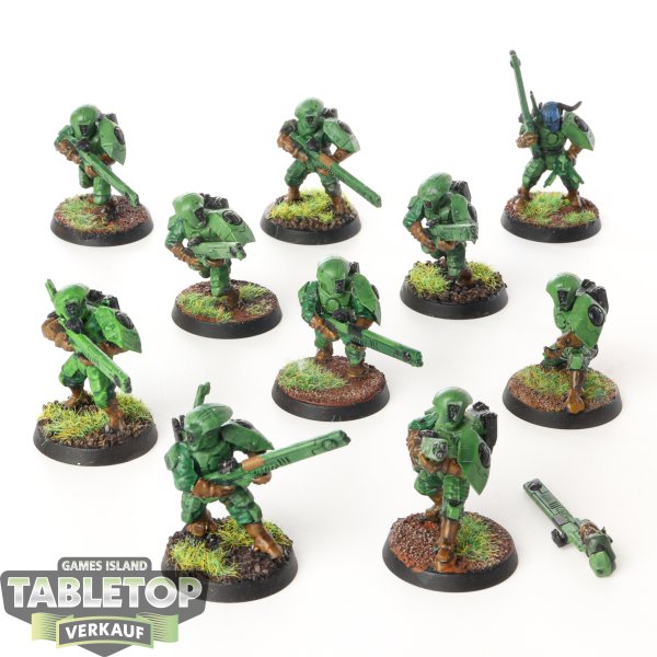 Tau Empire - 10 x Fire Warriors Strike Team - bemalt