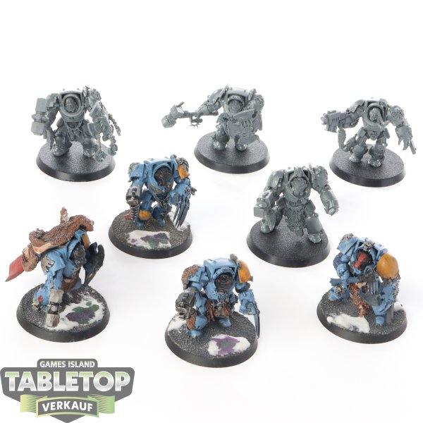 Space Wolves - 8x Wolf Guard Terminators - teilweise bemalt