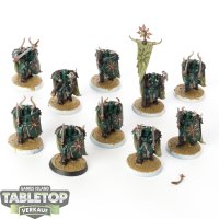 Maggotkin of Nurgle - 10 Chaos Warriors klassisch - bemalt