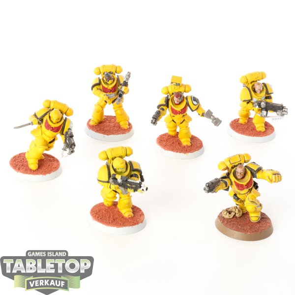 Imperial Fists - 6 x Primaris Intercessors - teilweise bemalt