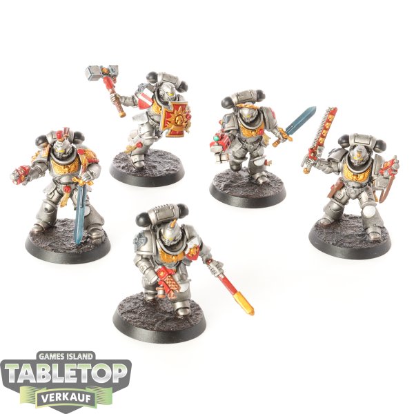 Space Marines - 5 Assault Intercessors - bemalt