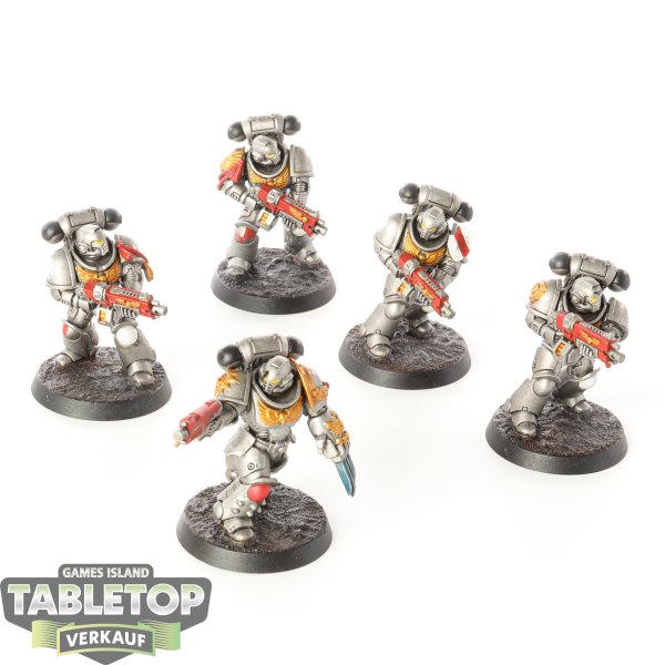 Space Marines - 5 Primaris Intercessors - bemalt