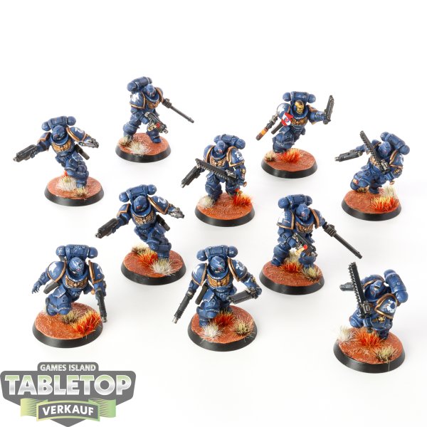 Ultramarines - 10 x Assault Intercessors - bemalt