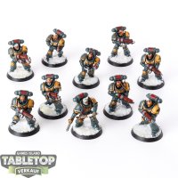 Space Wolves - 10x Primaris Intercessors - bemalt