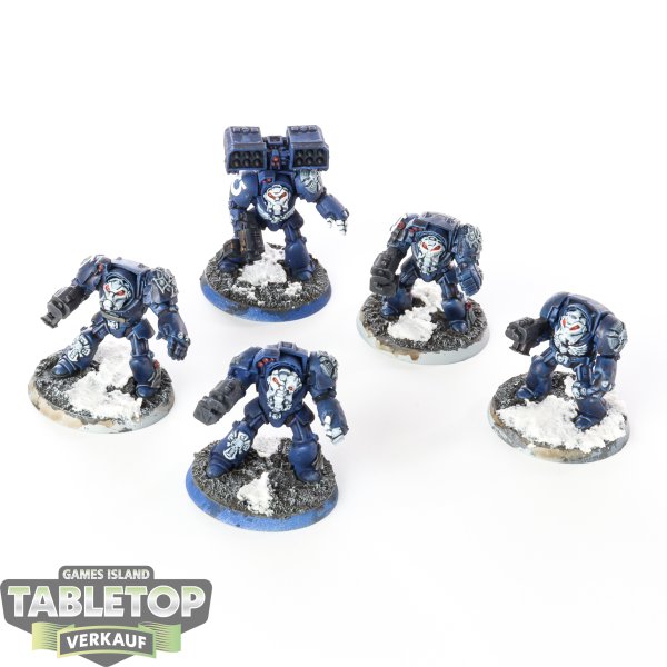 Space Marines - 5x Terminators - bemalt
