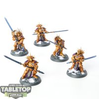 Stormcast Eternals - 5 x Protectors - bemalt