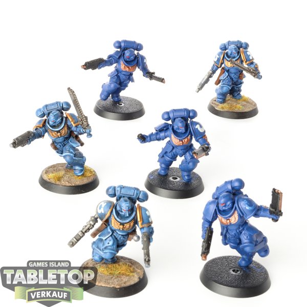 Ultramarines - 6 Assault Intercessors - teilweise bemalt