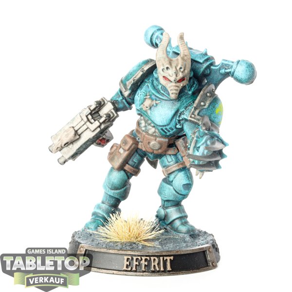 Chaos Space Marines - Chaos Lord - bemalt