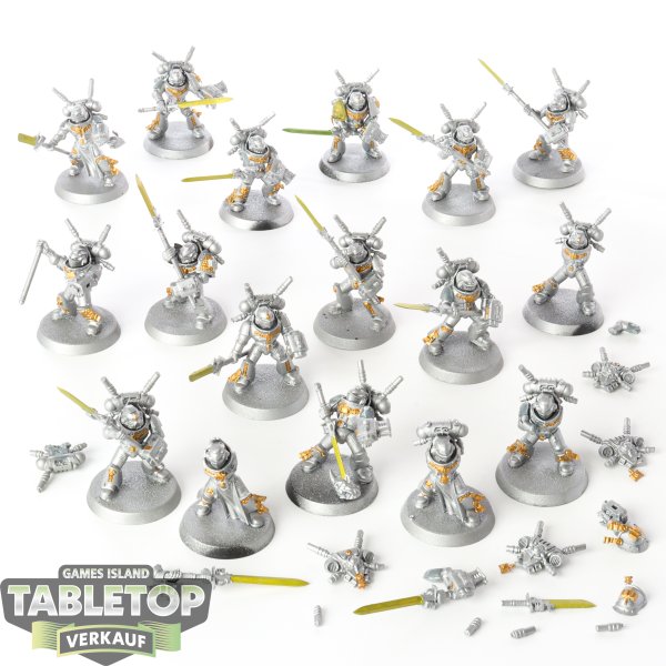 Grey Knights - 18x Grey Knights Interceptor Squad - teilweise bemalt