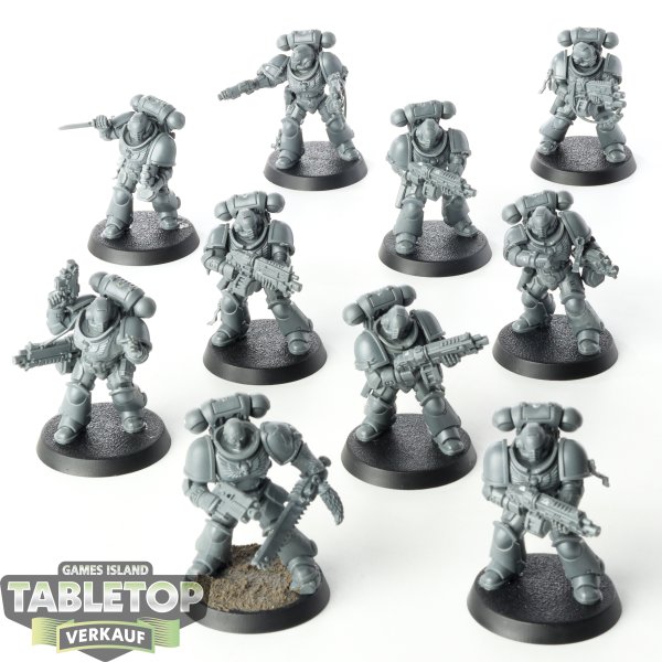 Space Wolves - 10x Primaris Intercessors - unbemalt