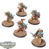 Stormcast Eternals - 5 Judicators - bemalt