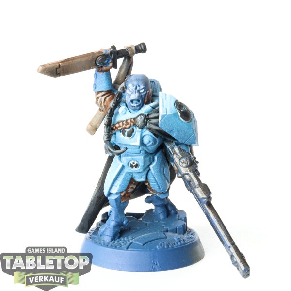 Tau Empire - Cadre Fireblade - bemalt