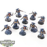 Ultramarines - 10 x Assault Intercessors - bemalt