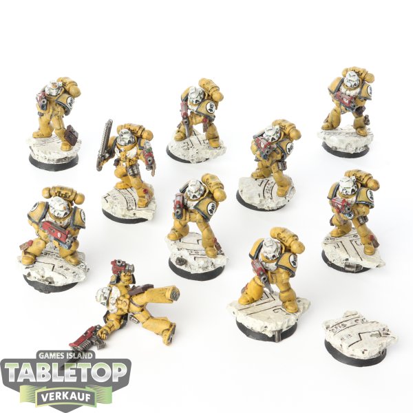 Imperial Fists - 10x Tactical Squad - bemalt