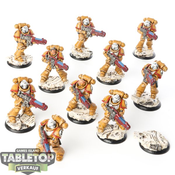 Imperial Fists - 10x Primaris Hellblasters - bemalt