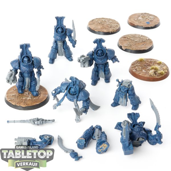 Thousand Sons - 5x Scarab Occult Terminators - teilweise bemalt