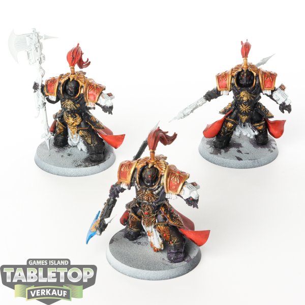 Adeptus Custodes - 3x Allarus Terminator  - teilweise bemalt