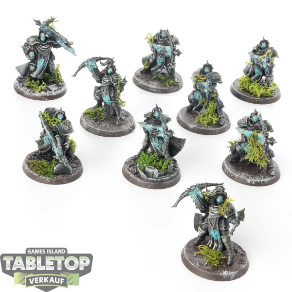 Stormcast Eternals - 9 x Castigators - bemalt