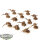 Tyraniden - 12 x Hormagaunts klassisch - teilweise bemalt
