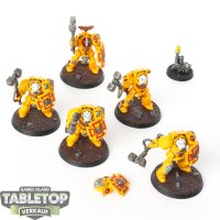 Imperial Fists - 5x Terminator Assault Squad - bemalt