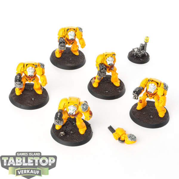 Imperial Fists - 5x Terminator Squad - bemalt