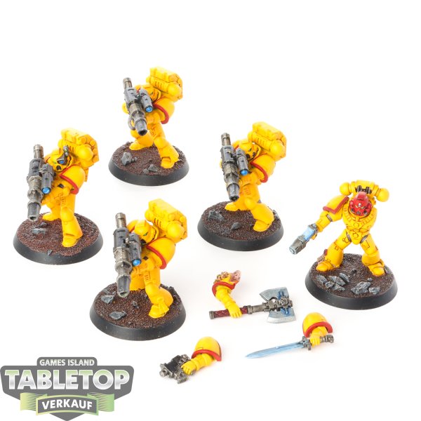 Imperial Fists - 5x Devastator Squad - bemalt