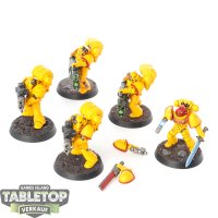 Imperial Fists - 5x Devastator Squad - bemalt