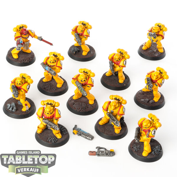 Imperial Fists - 11x Tactical Squad - bemalt