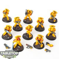 Imperial Fists - 10x Tactical Squad - bemalt