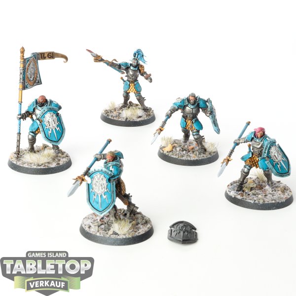 Stormcast Eternals - 5 x Vindictors - bemalt