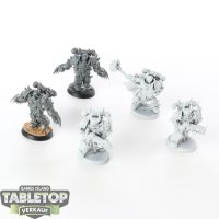 Chaos Space Marines - 5x Chosen klassisch - teilweise bemalt